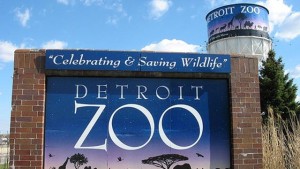 Detroit-Zoo---25851330