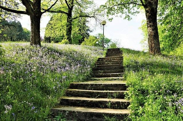 image of steps on a trail