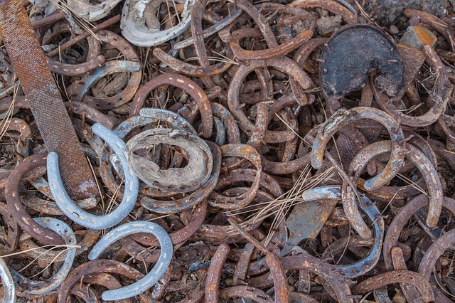 Oxford Orion Things To Do image of horseshoes