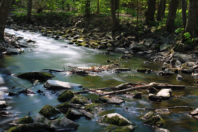 Dinosaur Hill Nature Preserve image of a creek