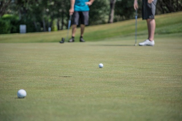 Stony Creek Metro Park image of golf green with two golf balls