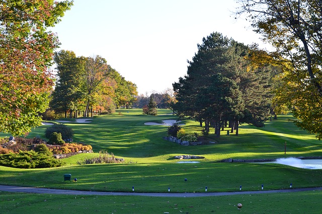 Brookwood Golf Club image of golf green