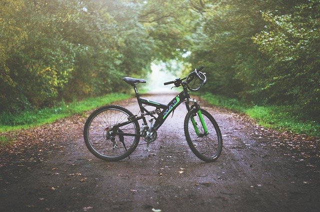 image of mountain bike trail with link