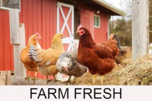 Farm Fresh Button